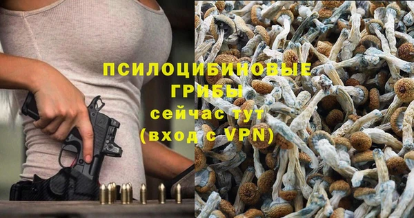 шишки Алексин