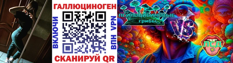 где купить наркоту  kraken ссылки  Псилоцибиновые грибы ЛСД  Осинники 